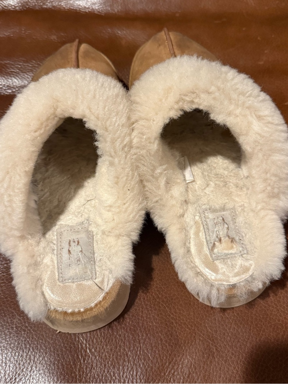 UGG disquette slippers Cozy Chestnut Shearling Clog Slippers for Women - Picture 5 of 6